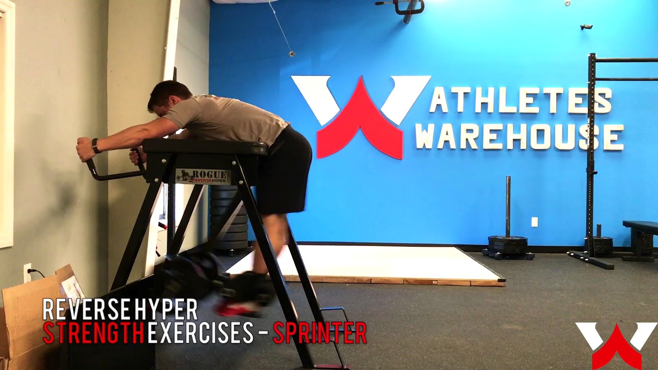 REVERSE HYPER Strength for Sprinting - YouTube
