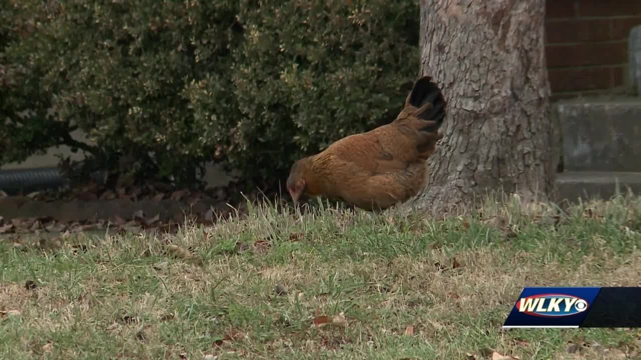 Arrest made in 2017 double homicide