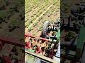 #farming