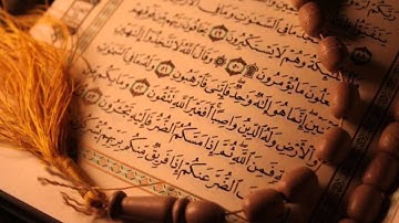 القارئ محمد العامر