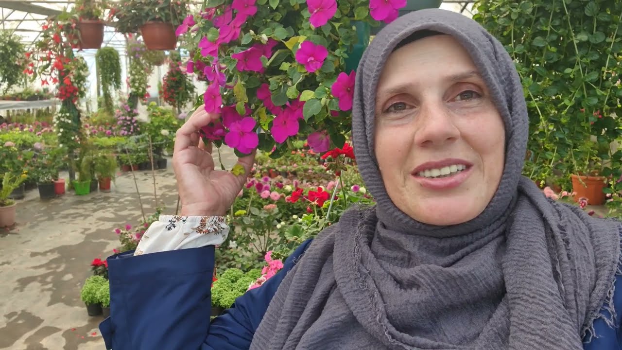 Yeni Türlerle Palmiye Peyzaj'da Bir Çiçek Turu