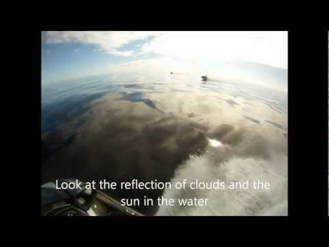Beauty Of The Pacific Ocean II