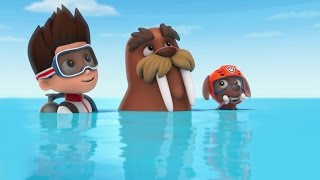 Щенячий патруль - Щенки спасают лето! Все серии подряд на русском 2016. Paw Patrol Щенячий патруль - Щенки спасают лето! Все серии подряд на русском 2016. Paw Patrol