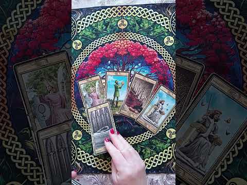 ЧТО ОН ХОЧЕТ ВАМ СКАЗАТЬ?