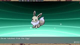 Shiny Eevee In 11K Eggs - Pokemmo