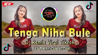 REMIX LAGU TENGA NIHA BULE - DJ NIAS SLOW VIRAL TIKTOK - By Gustav Remix