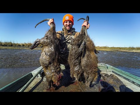 Download Hunting GIANT Marsh RATS for Food | Louisiana Nutria Hunting and Cooking