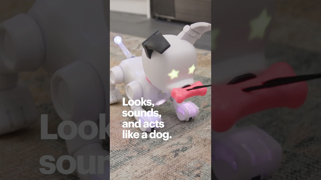 Meet your One-in-a-Million Best Friend with Dog-E Interactive Robot Dog | Best Buy 