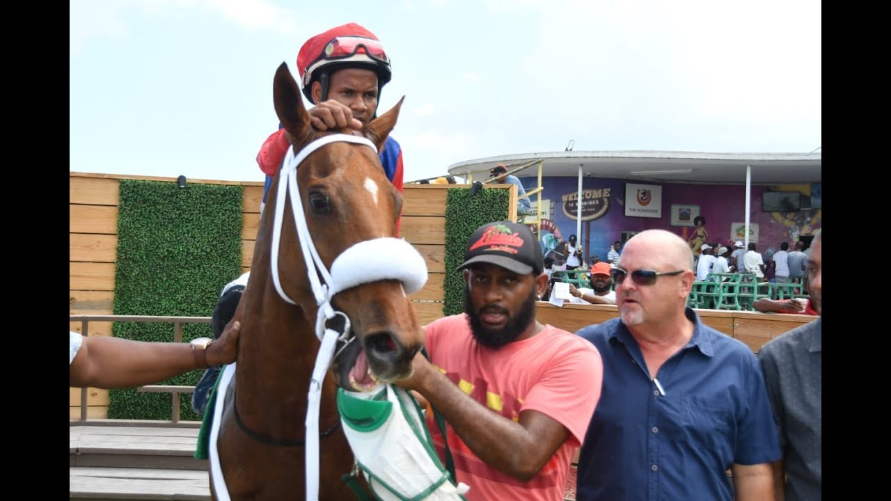 J's Racing Prince JAMAICA RACING: Prince Amaan Opens His Account In Sun, April 28, 2024 ...