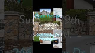 https://www.zillow.com/homedetails/246-Brinley-Dr-Pennington-NJ-08534/64689102_zpid/?view=public
