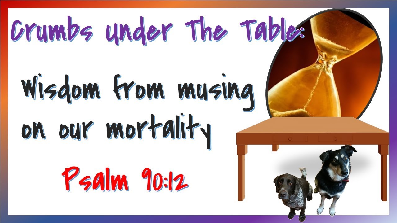 Musing on Wisdom
