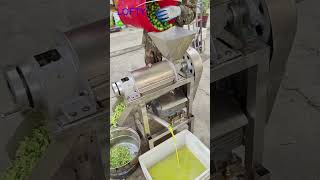 Spiral Juicer Extractor machine