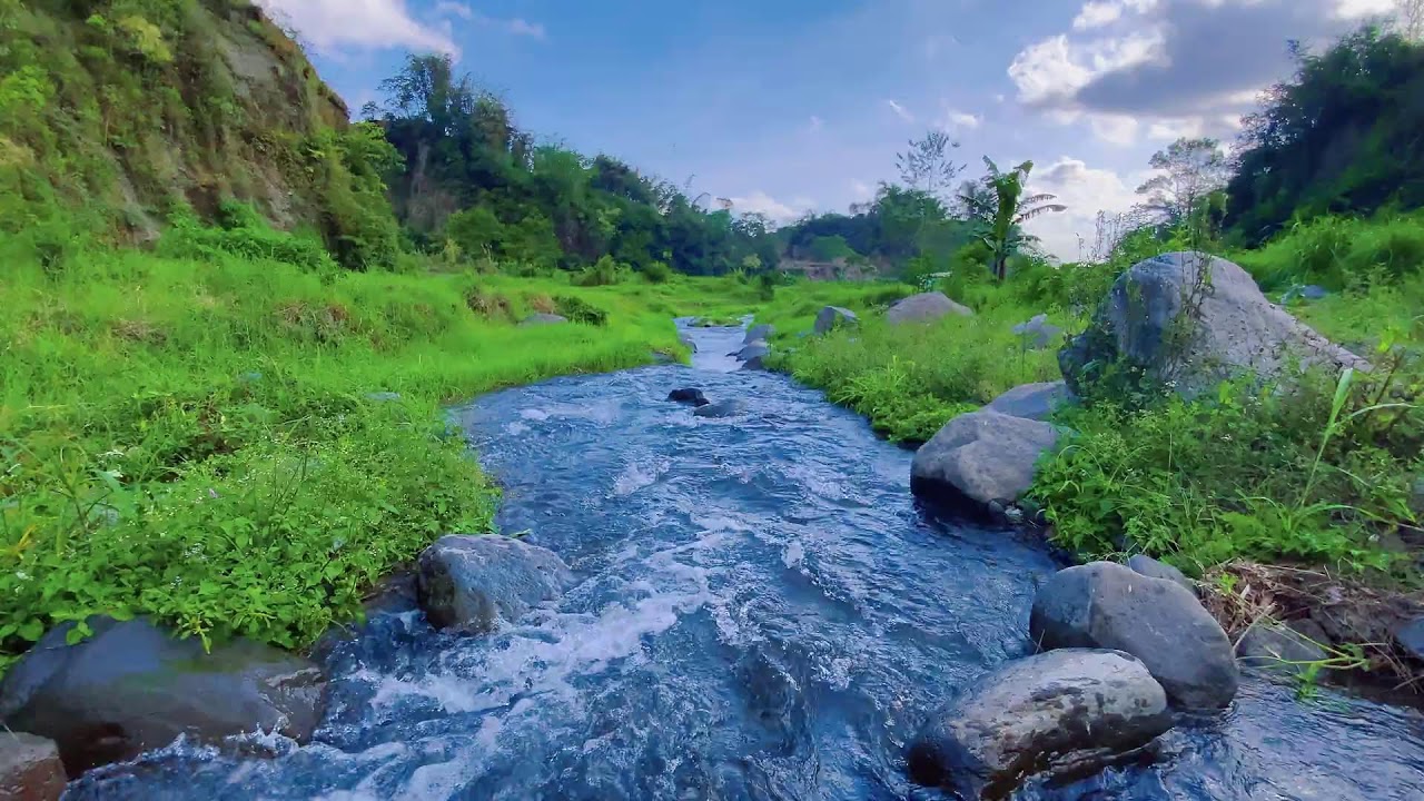 Sleep Soundly with Calming River Sounds & Views of Flowing Water Over Rocks in a Peaceful Forest