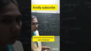 Structural And Functional Unit Of Kidney Of Frog??