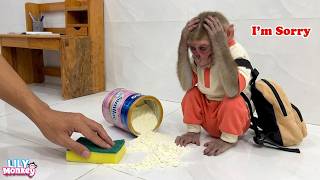 OMG! Lily really the culprit behind the spilled milk can...???
