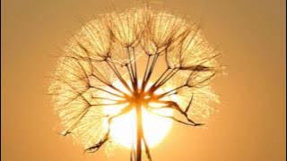 2 minutes of relaxing music,2 minute meditation music,2 minutes meditation,music 2 minute