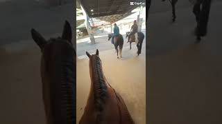 The best people!!!!@Equestrianlife_Official @Hadley