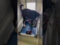 Zeus video