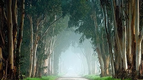 Introduction to "A Simplified Method to Processing"