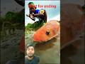 Red fish caught in the pond🐬🦈☠️😍#fishing#machhali#shorts#viral#training#popular#for you#fish