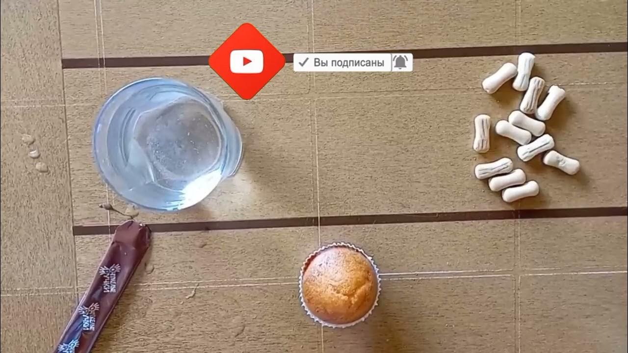 ДЕЛАЕМ ШОКОЛАДНЫЕ ГРИБЫ СВОИМИ РУКАМИ! - YouTube