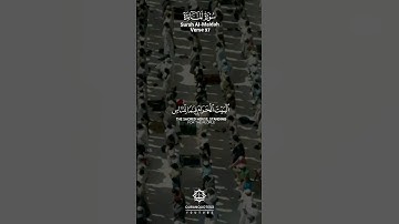 جعل الله الكعبة البيت الحرام قياما للناس | القارئ ماهر المعيقلي