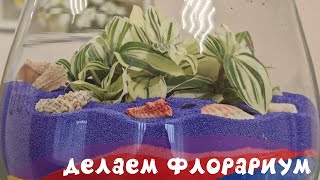 картинка: Делаем флорариум. Часть 1