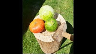 Hammer Vs Fruit
