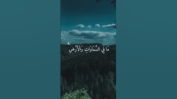 قران كريم  من سورة يونس_القارئ عبد الرحمن مسعد_تلاوة بصوت جميل يريح القلب