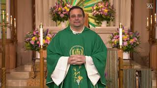 The Sunday Mass - 7/26/2020 - 17th Sunday of Ordinary Time