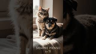 FRASES HERMOSAS DE AMOR 💖 Palabras que Tocan el Corazón y Derriten el Alma 🌹✨