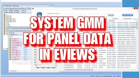 System Generalized Method of Moment (GMM-SYS) for Panel Data (Dynamic) in Eviews