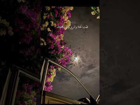 هونك على مغليك ماحدن يساويك