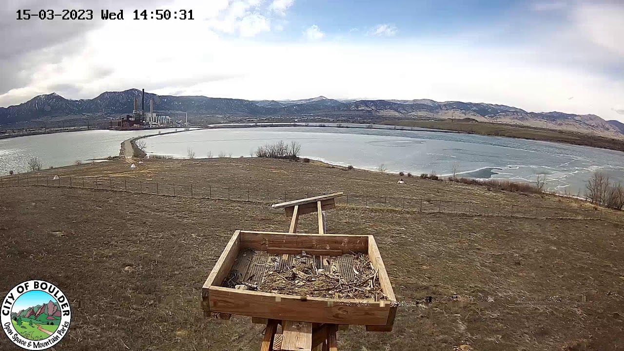 OSMP Osprey Nest Cam