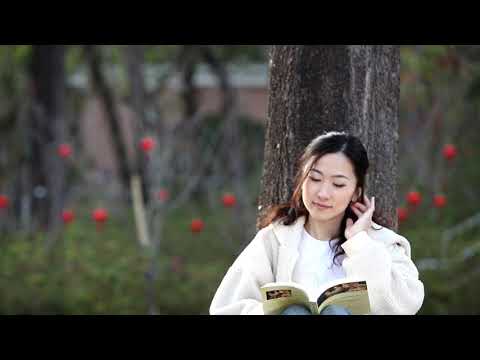 夢飛翔