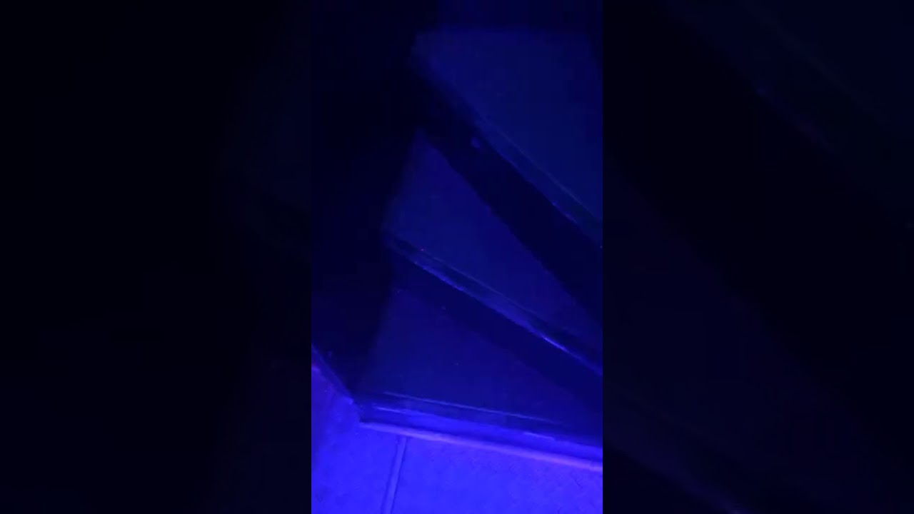 Open Top Party Bus Pretoria