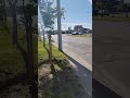 прибытие автобуса #133 на остановку киевский свер