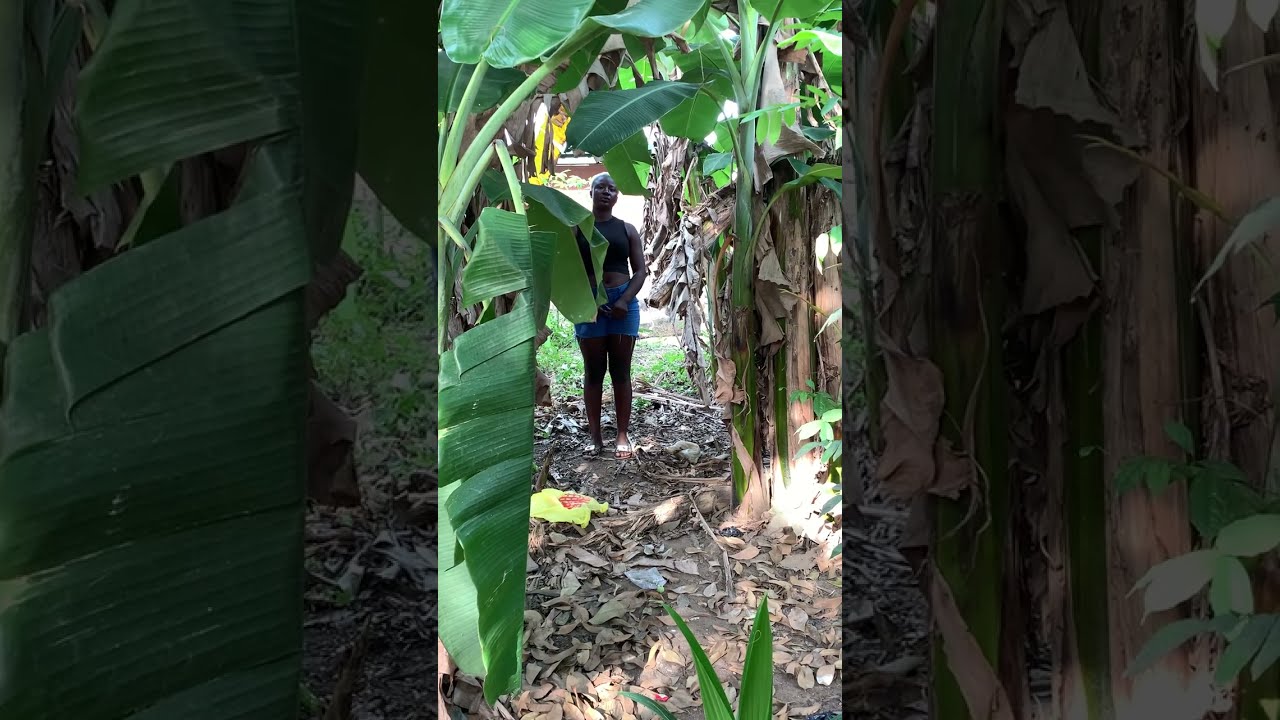 BTS/$ love never ends 