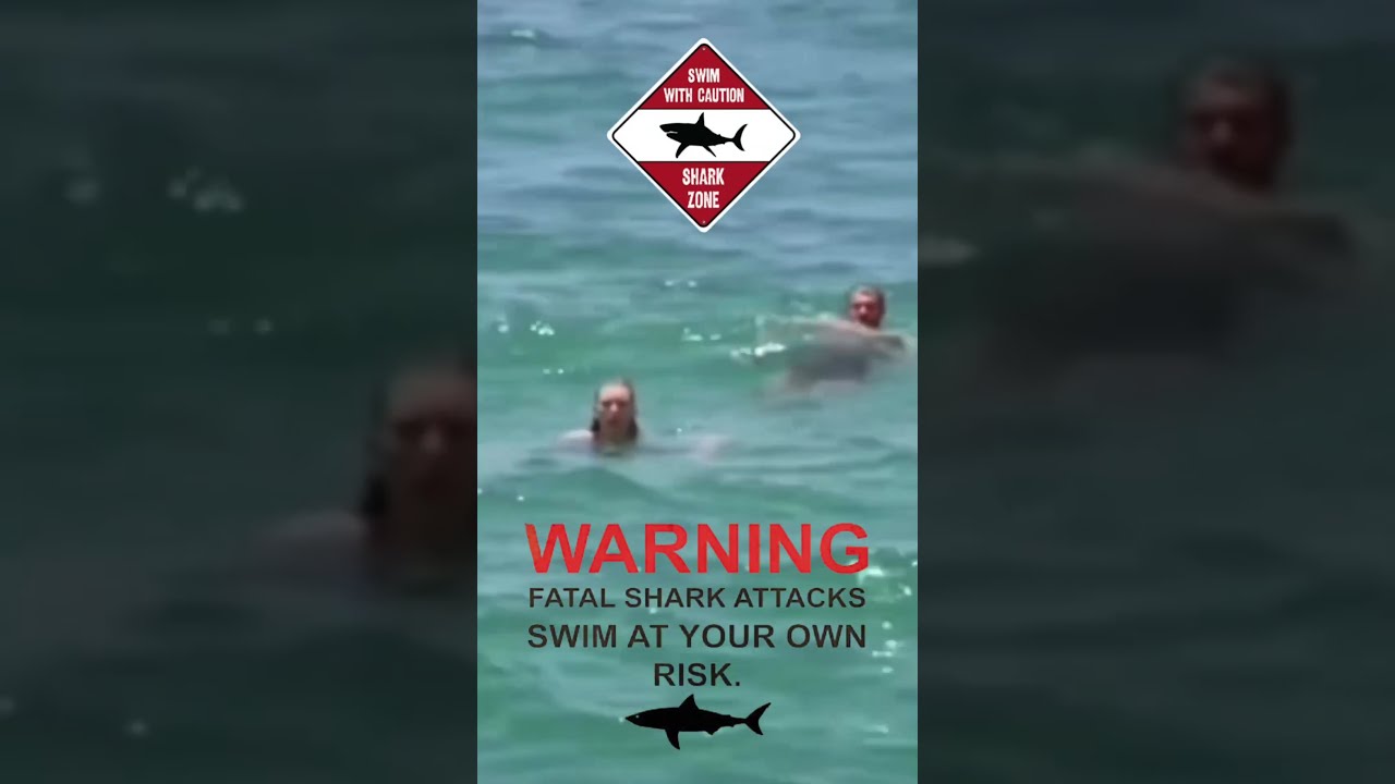 This Is Why You NEVER Ignore Shark Warnings