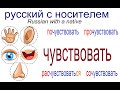 № 590 ЧУВСТВОВАТЬ