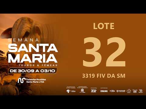 LOTE 32 FSM A3319