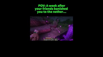 POV: A week after your friends banished you to the nether.. #minecraft #gaming #memes