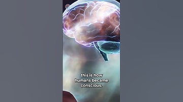 🤦‍♂️ Better AIs have CONSCIOUSNESS?