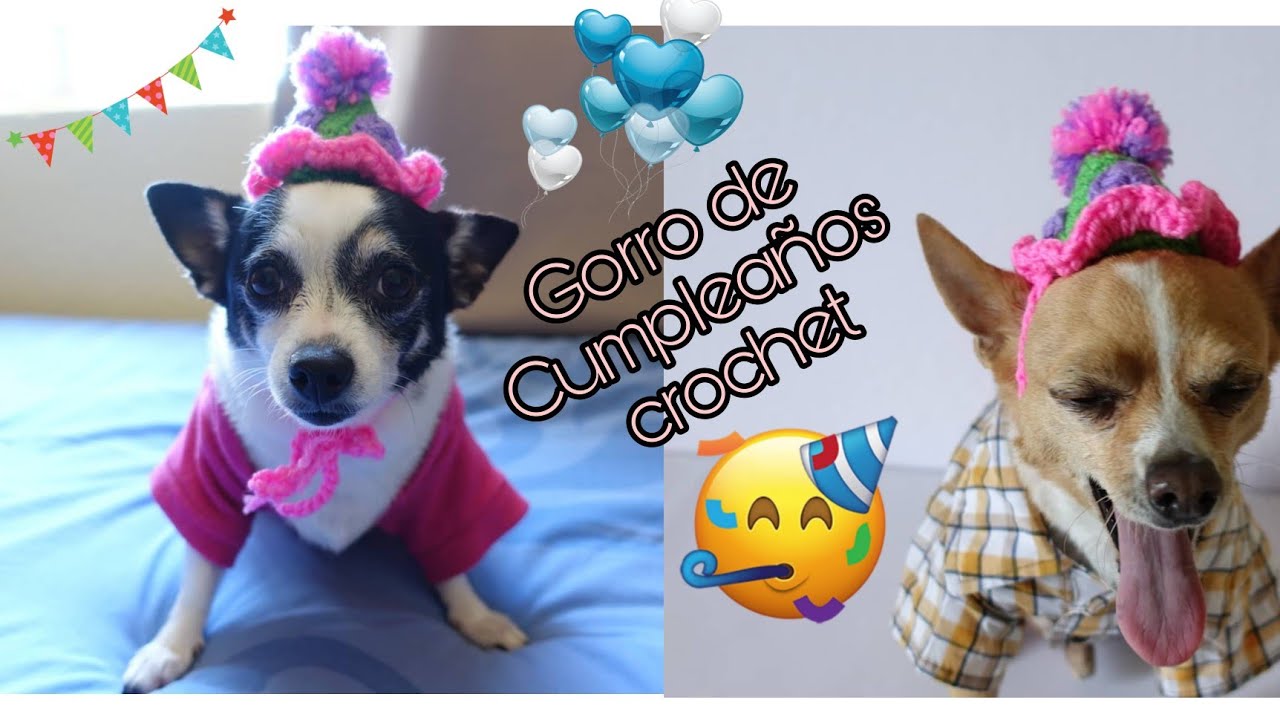 Consistente calendario programa Gorro de cumpleaños para perritos / Crochet Adriana - YouTube