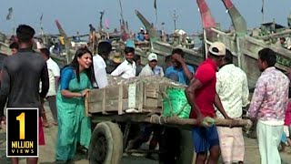 Biggest Dry Fish Yard in Bangladesh || বাংলাদেশের সর্ববৃহৎ শুটকি পল্লী নাজিরারটেক​