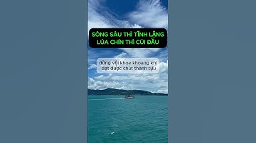 Sông sâu thì tĩnh lặng   Lúa chín thì cúi đầu  #lamgiaucungtoi  #cachlamgiau #xuhuongyoutube