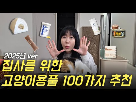 좁은 집을 위한 캣돌 창틀 해먹! 반려동물 틈새 공간 활용 후기