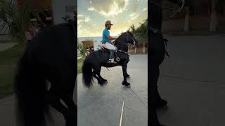 Rancho el Centenario Atotonilco el Alto Jalisco