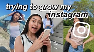 trying to grow my instagram in a week (+ growth tips, my thoughts & what i learned)