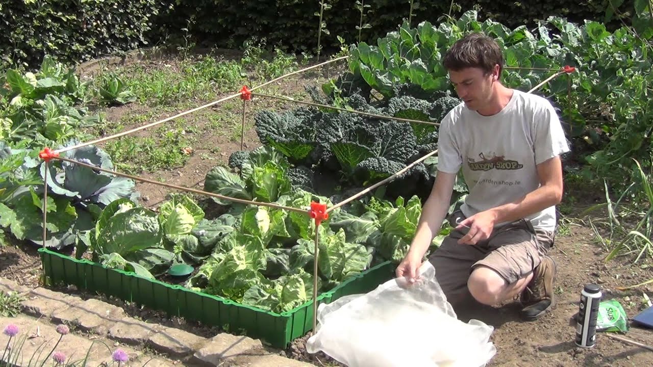 Garden Netting Support Frame YouTube